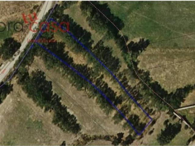 Terreno en venta en Pelayos Del Arroyo, Castilla y León