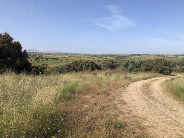 Terreno en venta en Pelayos Del Arroyo, Segovia