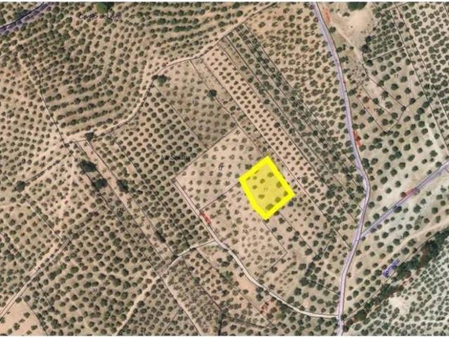 Terreno en venta en Comarca de la Vega de Granada, Andalucía