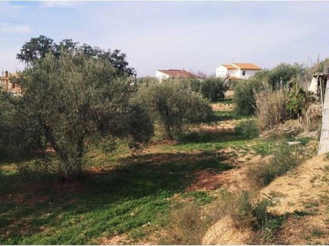 Terreno en venta en Comarca de la Vega de Granada, Andalucía
