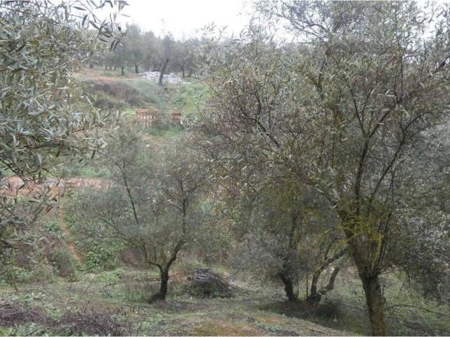 Terreno en venta en Comarca de la Vega de Granada, Andalucía