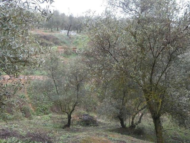 Terreno en venta en Comarca de la Vega de Granada, Andalucía