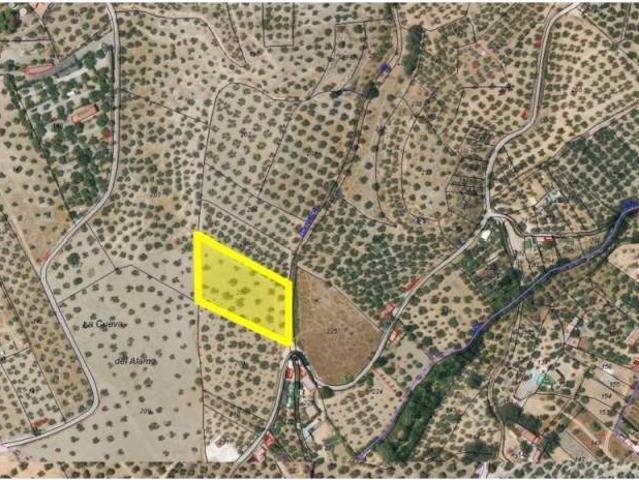 Terreno en venta en Comarca de la Vega de Granada, Andalucía