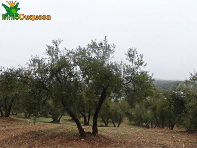 Terreno en venta en Comarca de la Vega de Granada, Andalucía