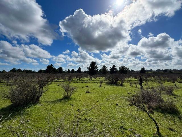 Terreno en venta en Diguillín, San Ignacio