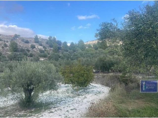 Terreno en venta en l'Alcoià, Valencia