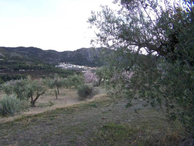Terreno en venta en l'Alcoià, Valencia