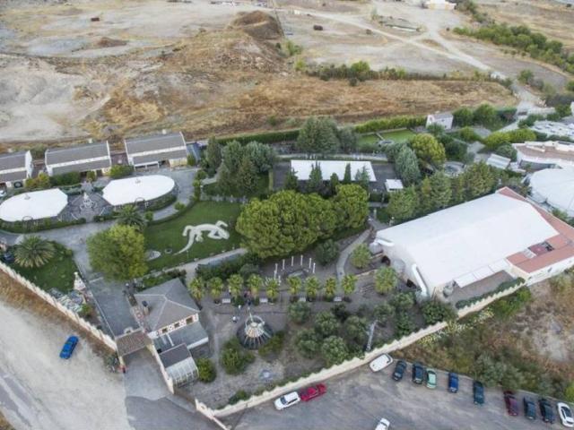Terreno en venta en Pepino, Castilla-La Mancha
