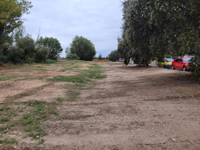 Terreno en venta en Pepino, Castilla-La Mancha