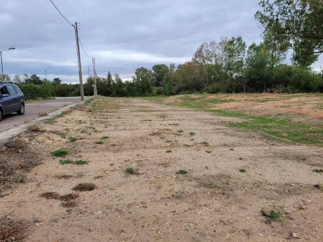 Terreno en venta en Pepino, Castilla-La Mancha
