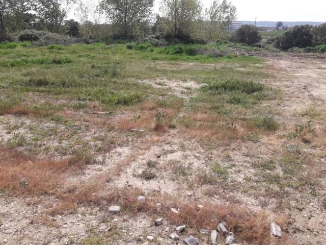 Terreno en venta en Pepino, Castilla-La Mancha