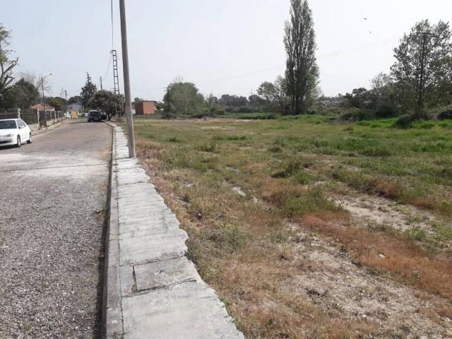 Terreno en venta en Pepino, Castilla-La Mancha