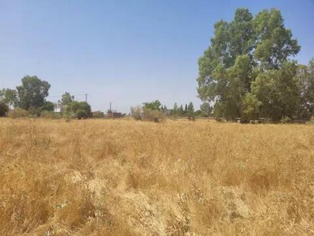 Terreno en venta en Pepino, Castilla-La Mancha