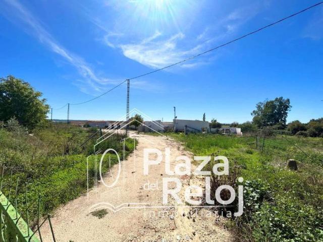 Terreno en venta en Pepino, Castilla-La Mancha