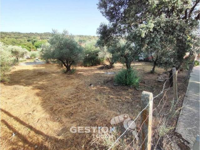 Terreno en venta en Pepino, Castilla-La Mancha