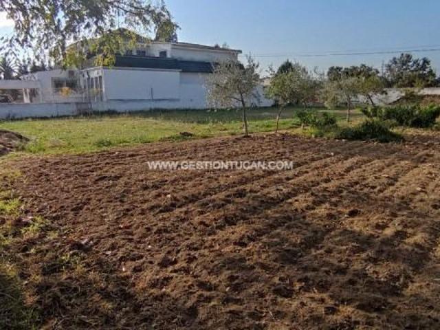 Terreno en venta en Pepino, Castilla-La Mancha