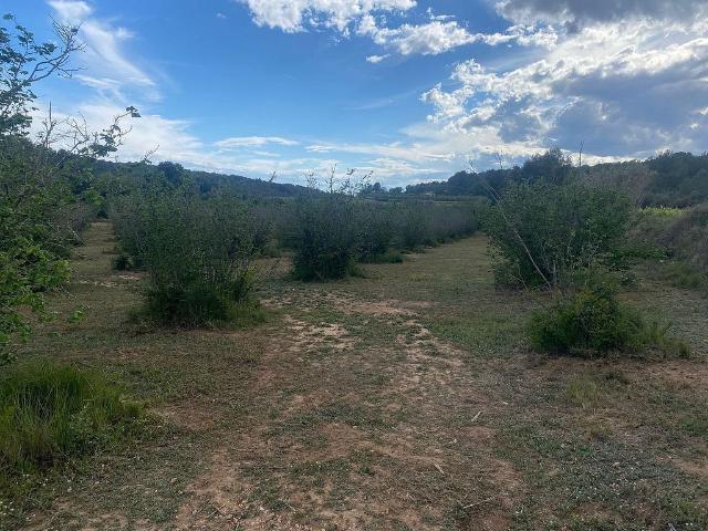 Terreno en venta en Garidells, Els, Tarragona