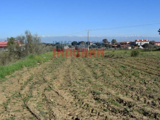 Terreno en venta en Peraleda De La Mata, Extremadura