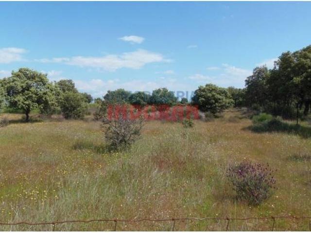 Terreno en venta en Peraleda De La Mata, Extremadura