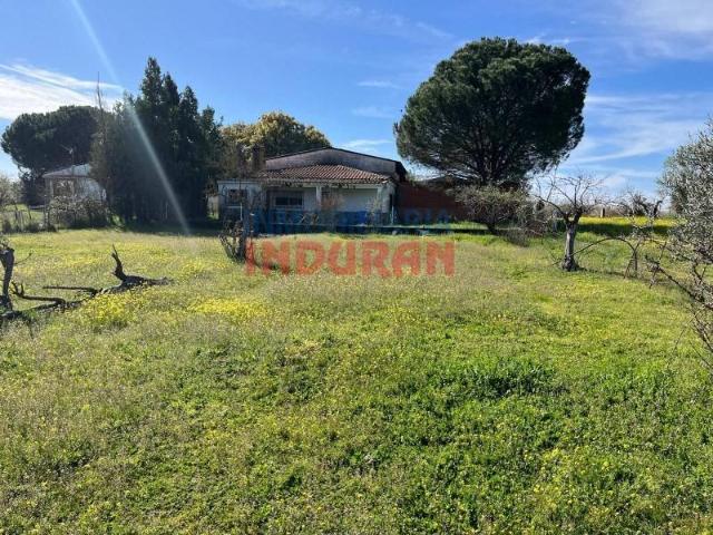 Terreno en venta en Peraleda De La Mata, Extremadura