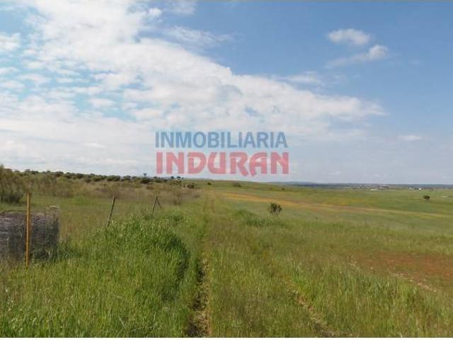 Terreno en venta en Peraleda De La Mata, Extremadura