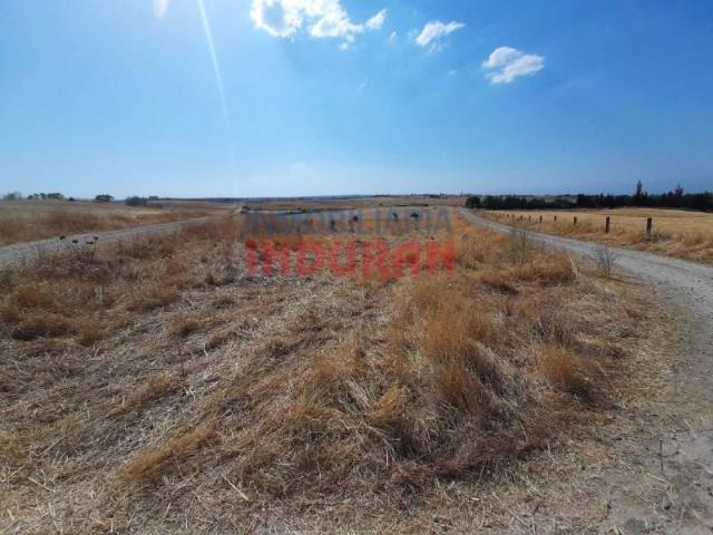 Terreno en venta en Peraleda De La Mata, Extremadura