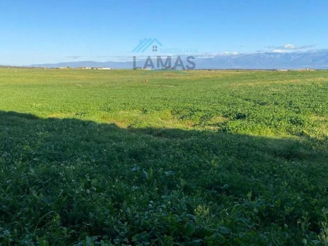 Terreno en venta en Peraleda De La Mata, Extremadura