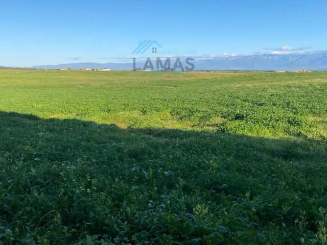 Terreno en venta en Peraleda de la Mata, Cáceres
