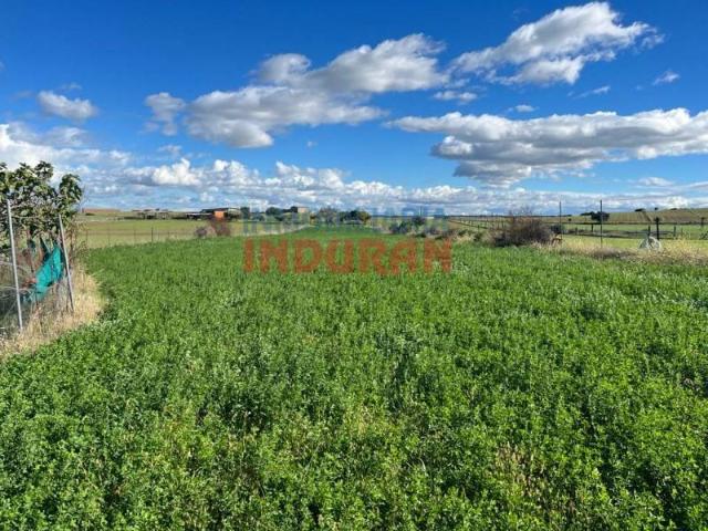 Terreno en venta en Peraleda De La Mata, Extremadura