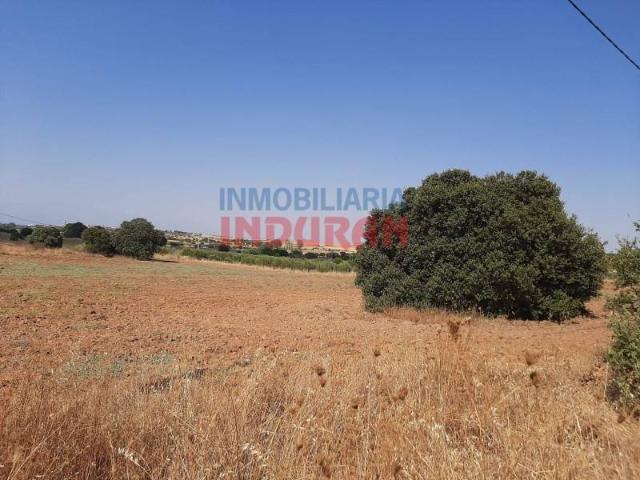 Terreno en venta en Peraleda De La Mata, Extremadura