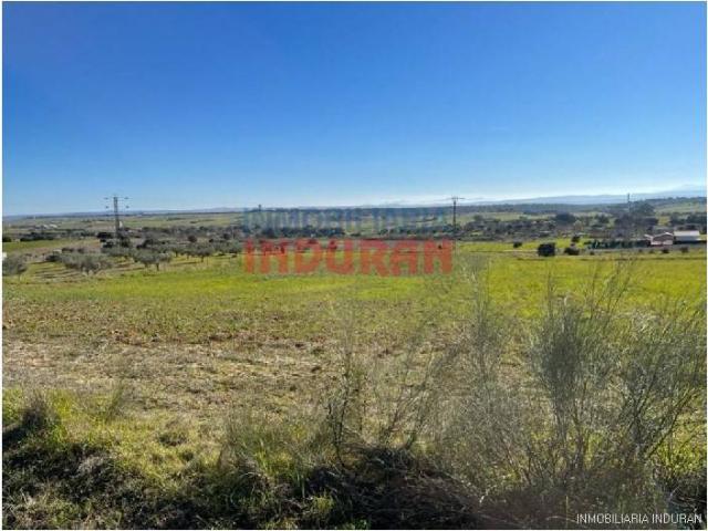 Terreno en venta en Peraleda De La Mata, Extremadura