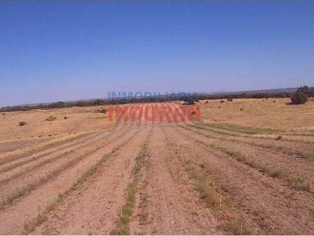 Terreno en venta en Peraleda De La Mata, Extremadura