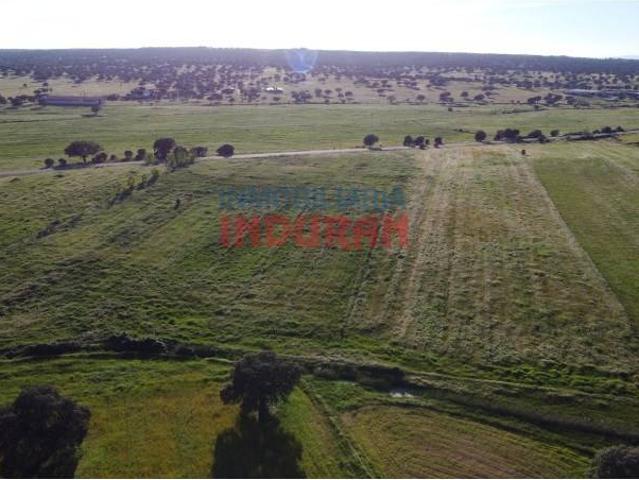 Terreno en venta en Peraleda De La Mata, Extremadura