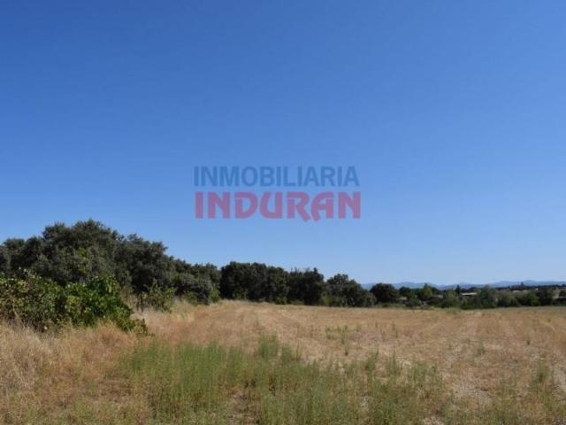 Terreno en venta en Peraleda De La Mata, Extremadura
