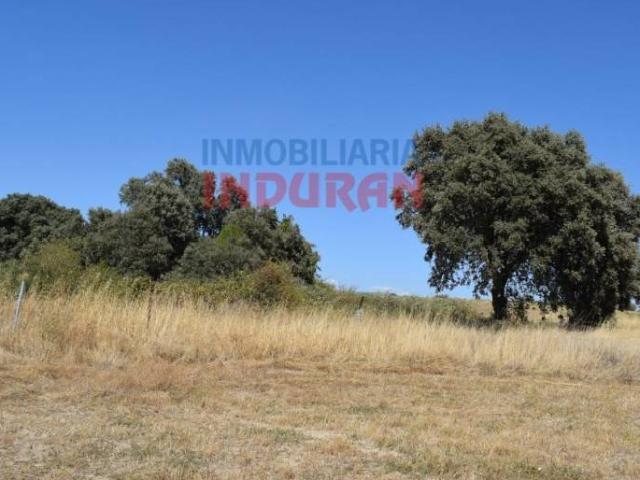 Terreno en venta en Peraleda De La Mata, Extremadura