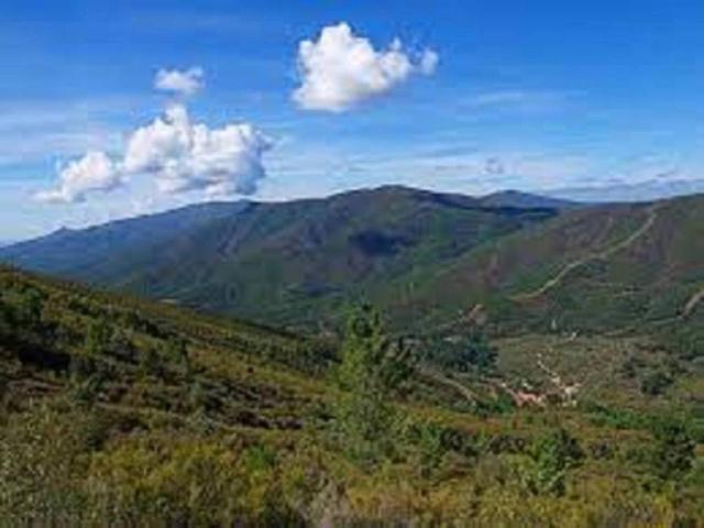 Terreno en venta en Perales Del Puerto, Extremadura