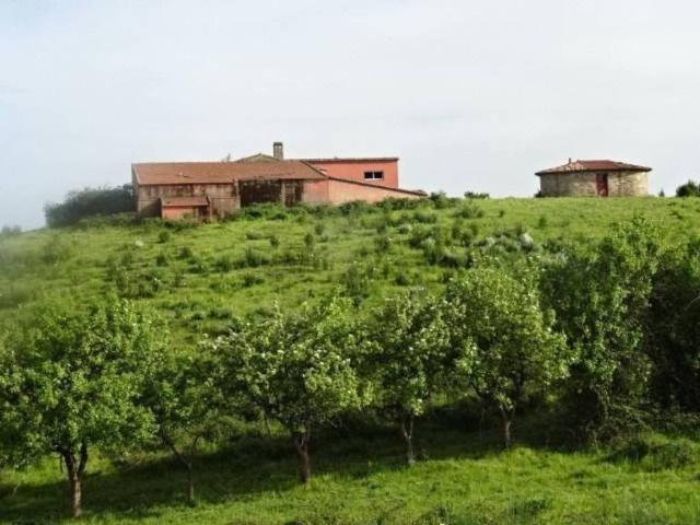 Terreno en venta en Perales Del Puerto, Extremadura