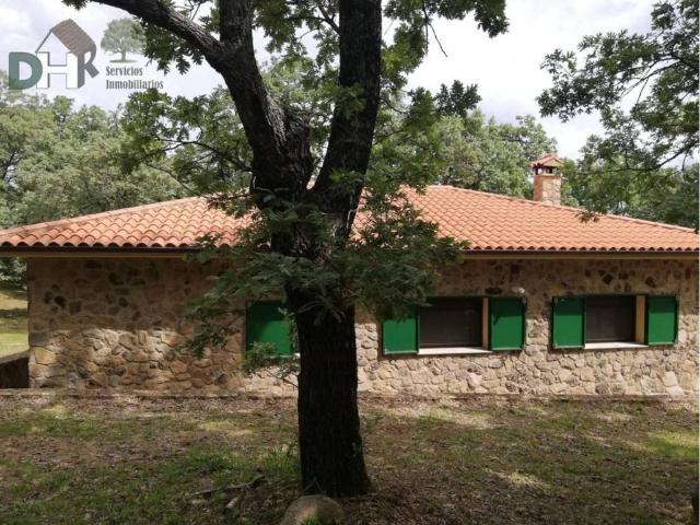 Terreno en venta en Perales Del Puerto, Extremadura