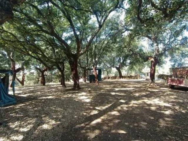 Terreno en venta en Perales Del Puerto, Extremadura