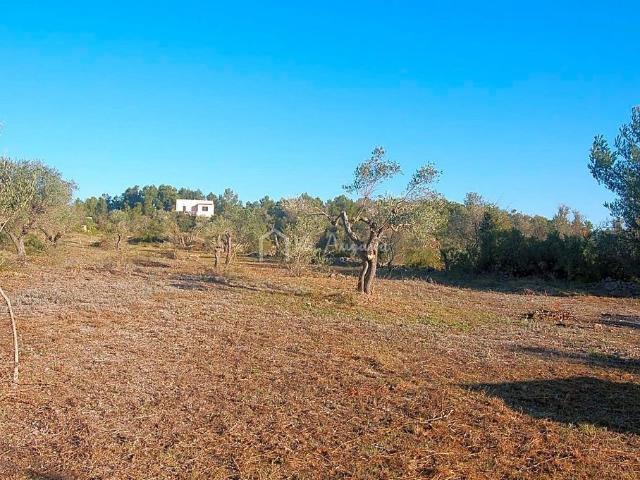 Terreno en venta en Tarragonès, Catalunya