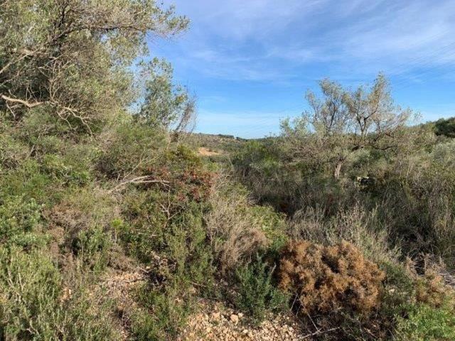 Terreno en venta en Tarragonès, Catalunya