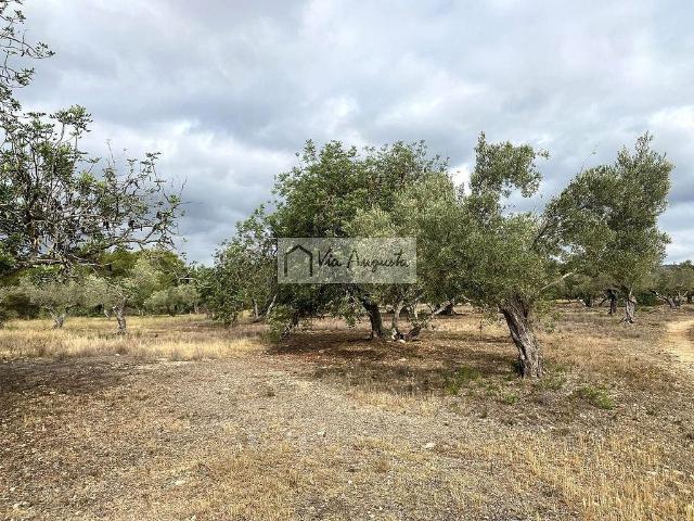 Terreno en venta en Tarragonès, Catalunya