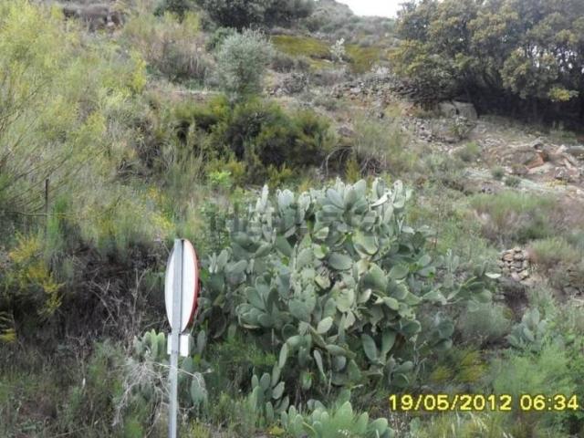 Terreno en venta en Pereña De La Ribera, Castilla y León