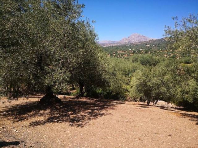 Terreno en venta en Periana, Málaga