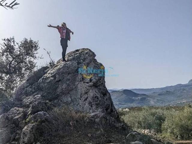 Terreno en venta en Periana, Málaga