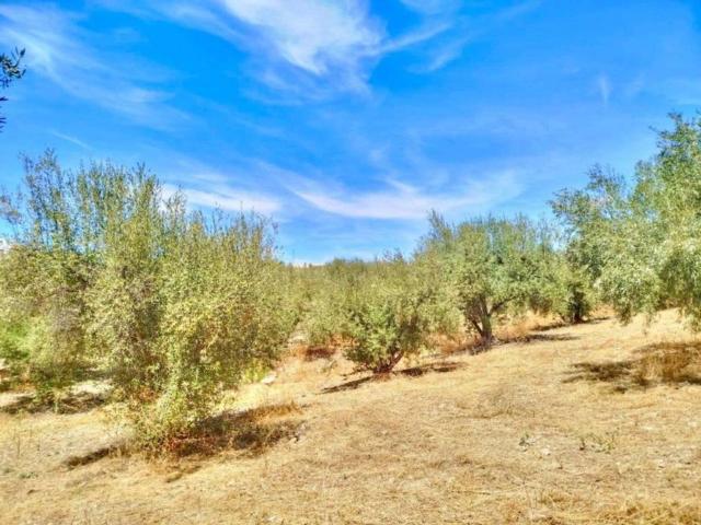 Terreno en venta en La Axarquía, Andalucía