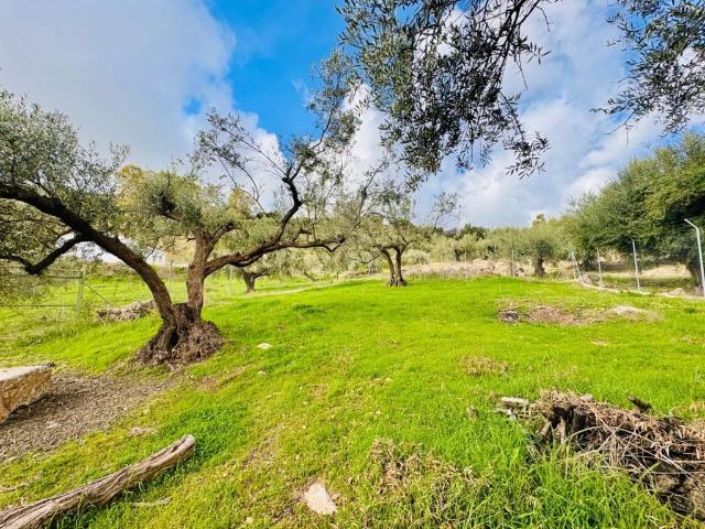 Terreno en venta en Periana, Málaga