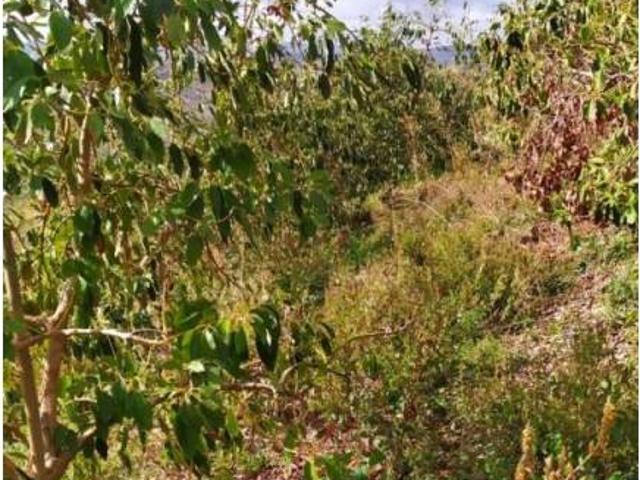 Terreno en venta en La Axarquía, Andalucía
