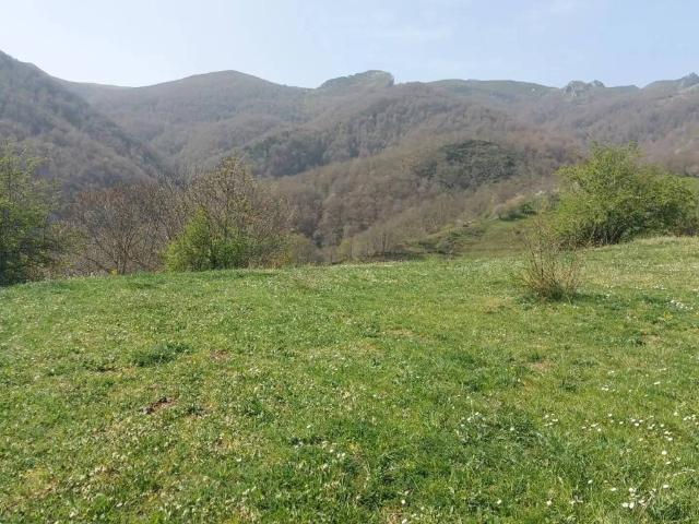 Terreno en venta en Pesaguero, Cantabria
