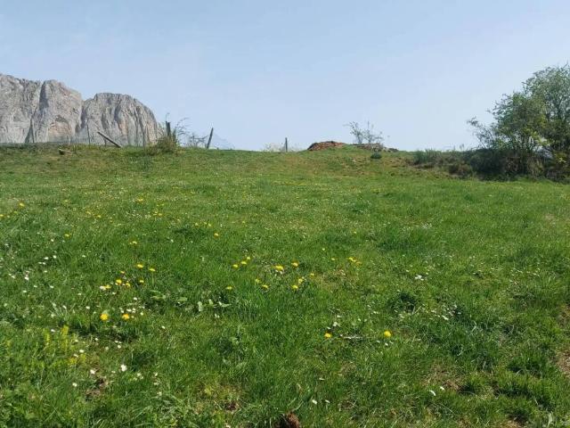 Terreno en venta en Pesaguero, Cantabria